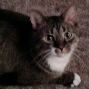 Meet your Posher, Maureen